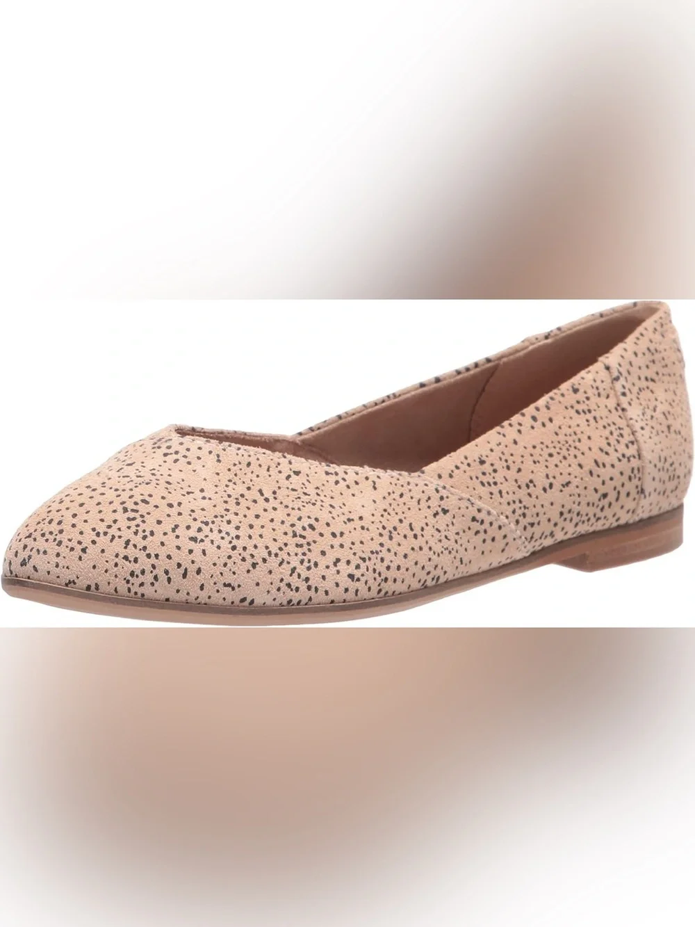 Toms jutti neat